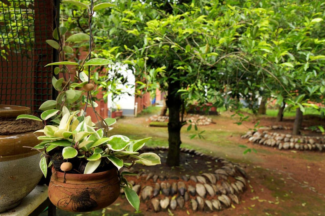 Stayvista At La Riva Heritage Villa With Bicycle Alappuzha Kültér fotó